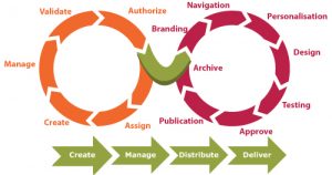 Le cycle de vie du contenu dans la gestion d'un projet