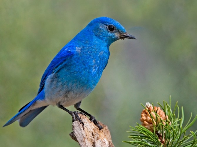Et si Twitter devenait le nouveau Google ? Et si Twitter devenait le nouveau Google ?